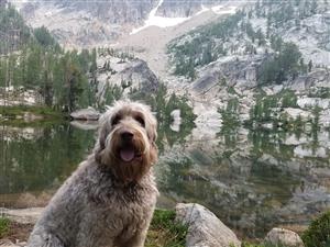Gem Lake 7/2021